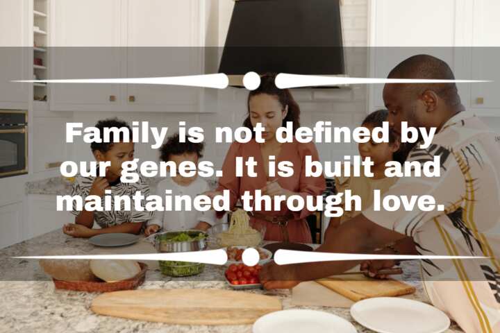 Family Is Not Defined By