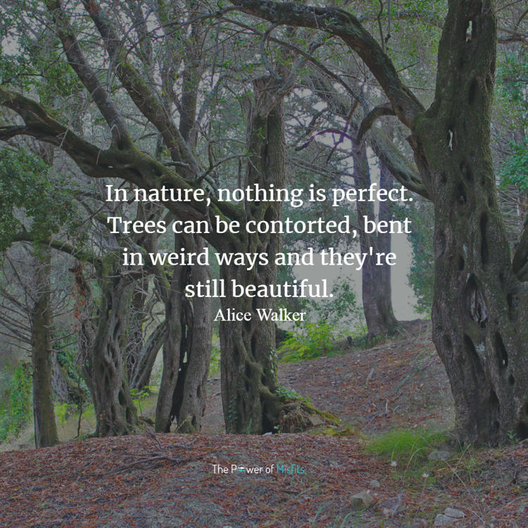 In Nature, Nothing Is Perfect. Trees Can Be Contorted,
