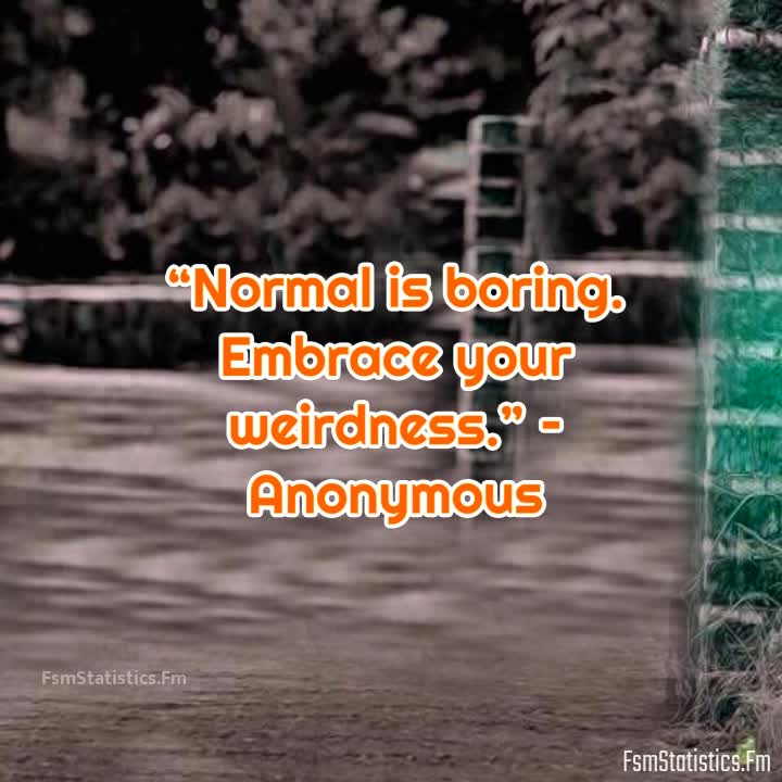 Normal Is Boring