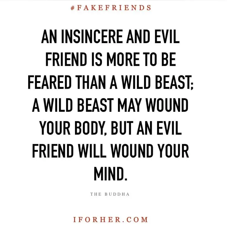 Quotes About Bad Friends And Karma An Insincere And Evil Friend Is More To Be Feared Than A Wild Beast
