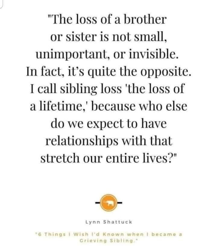 The Loss Of A Brother Or Sisiter