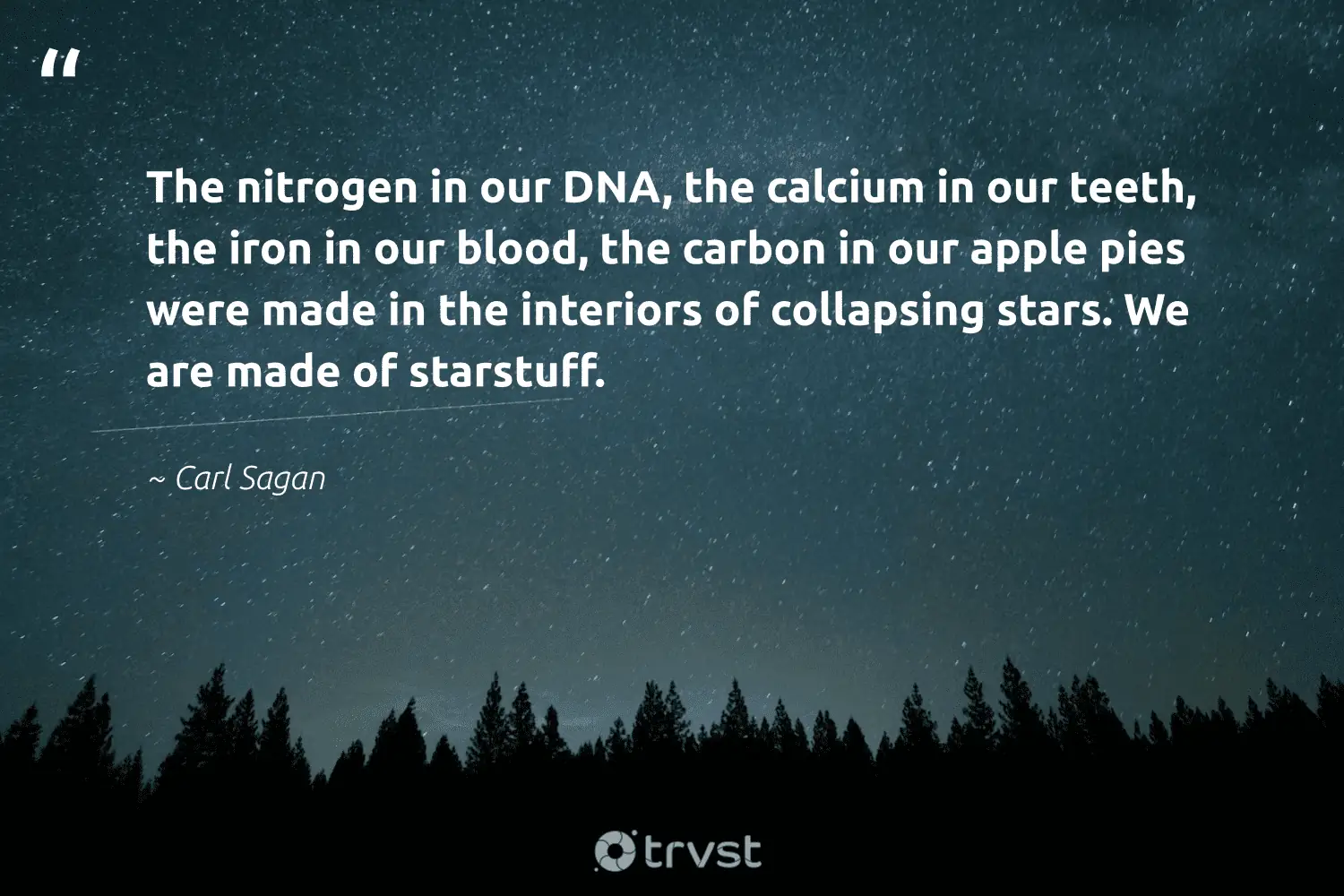 The Nitrogen In Our Dna, The Calcium In Our Teeth