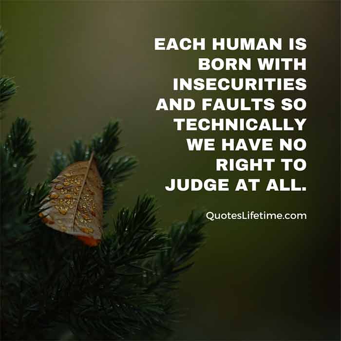 Each Human Is Born With Insecurities And Faults So