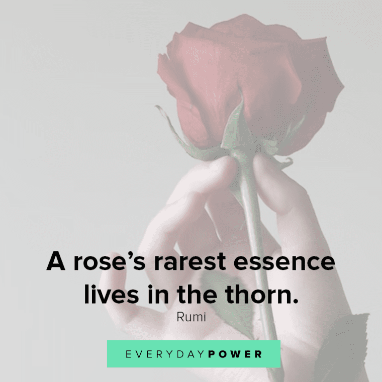 Inspirational Quotes About Roses A Rose’s Rarest Essence Lives In The Thorn.