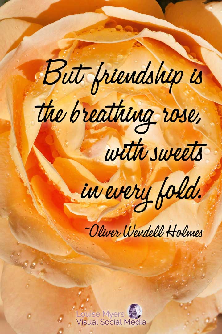 Inspirational Quotes About Roses But Friendship Is The Breathing Rose