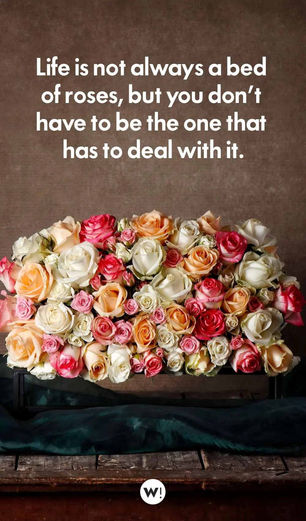 Inspirational Quotes About Roses Life Is Not Always A Bed Of Roses, But You Don’t