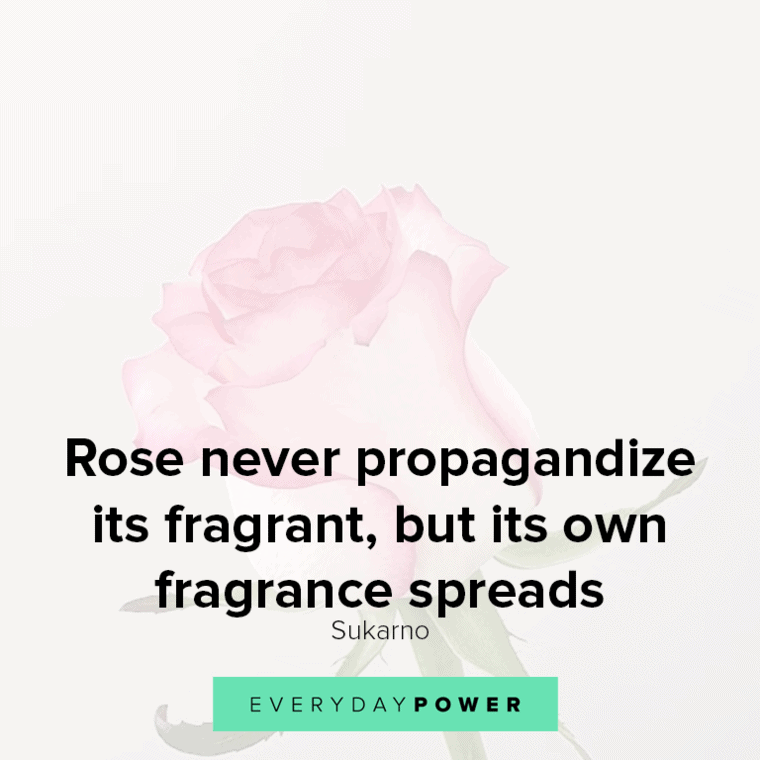 Inspirational Quotes About Roses Rose Never Propagandize Its Fragrant