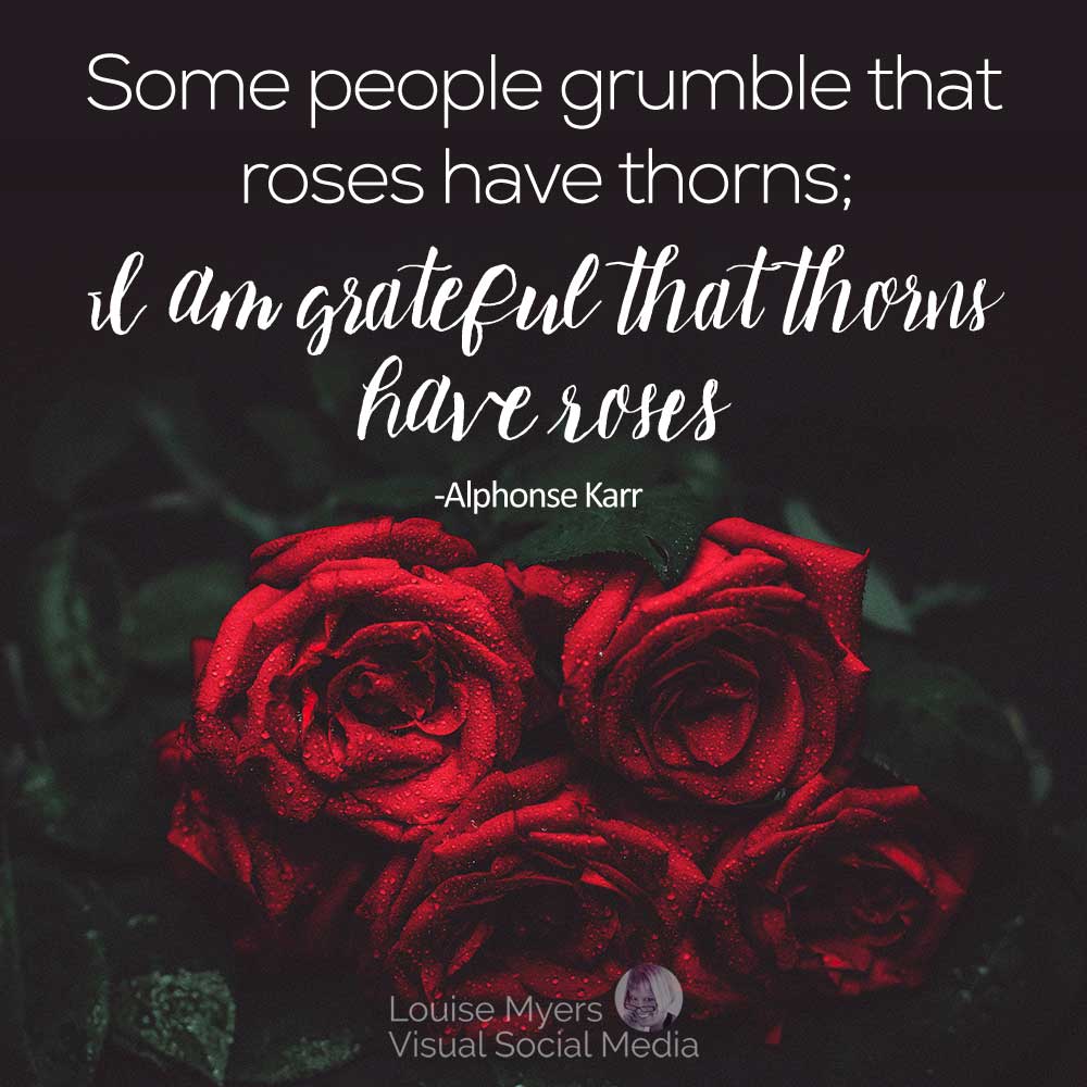 Inspirational Quotes About Roses Some People Grumble That Roses Have Thorns