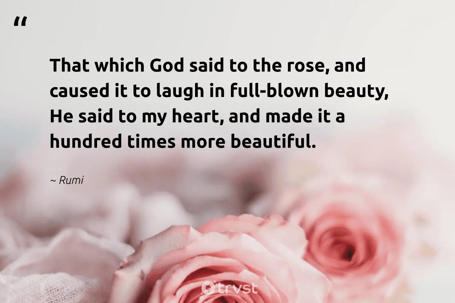 Inspirational Quotes About Roses That Which God Said To The Rose, And Caused