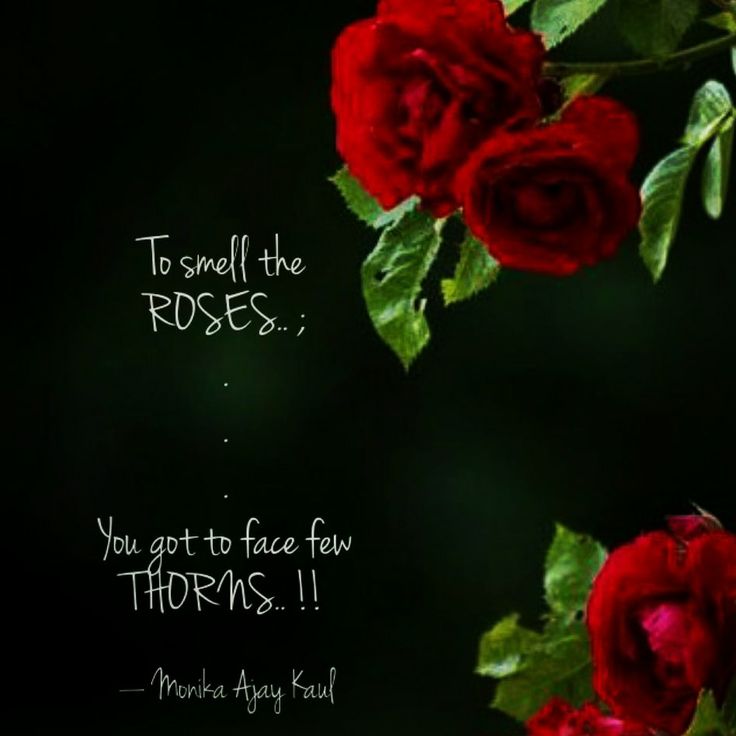 Inspirational Quotes About Roses To Smell The Roses You Got To Face Few Thorns