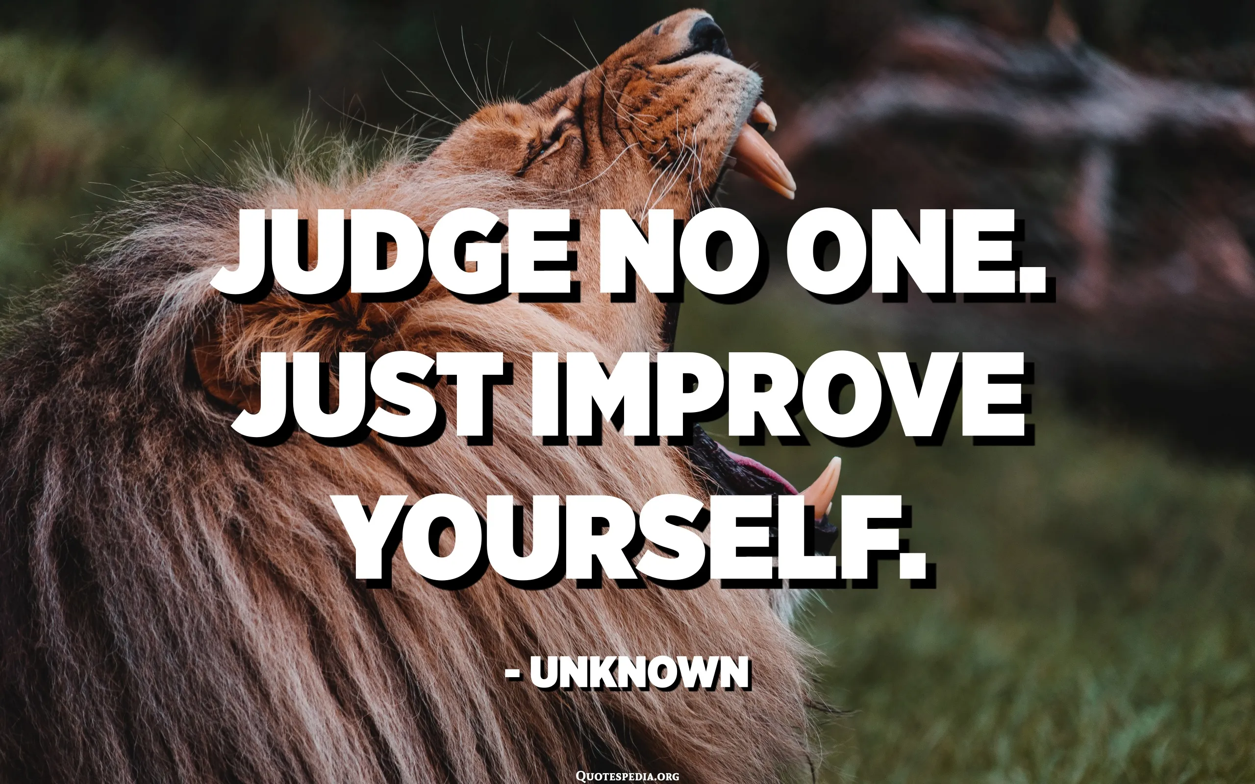 Judge No One Just Improve
