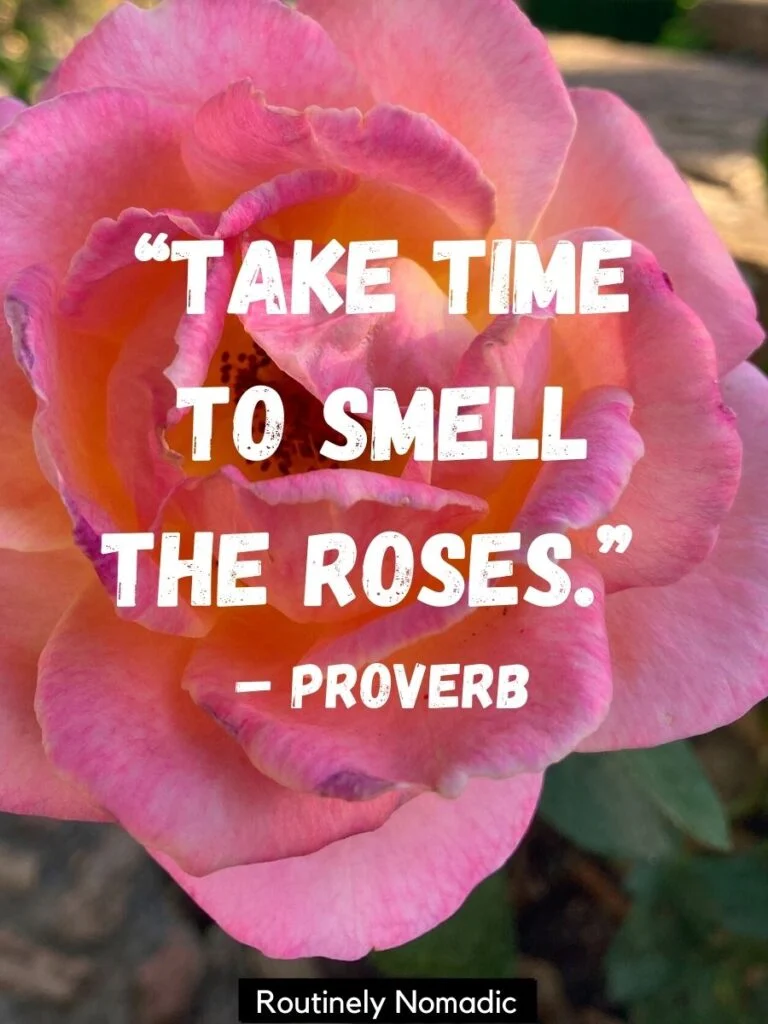 Quotes About Roses And Love Take Time To Smell The Roses