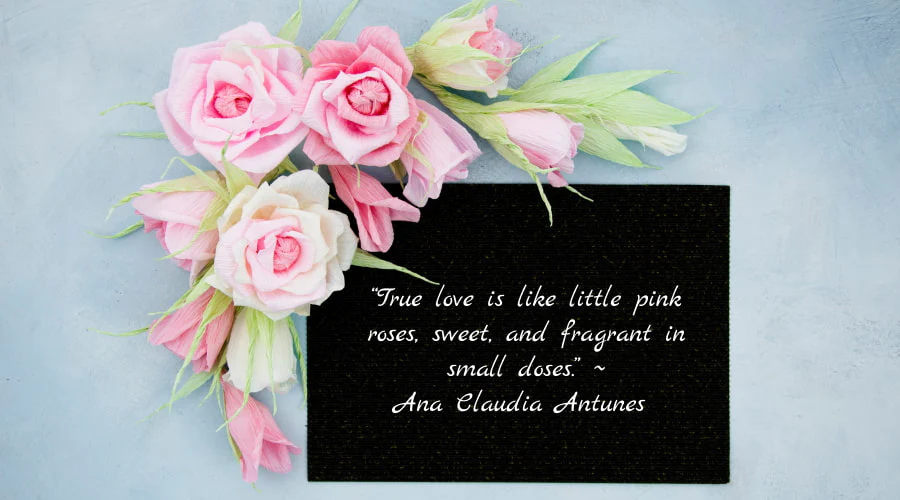 Quotes About Roses And Love True Love Is Like Little Pink Roses
