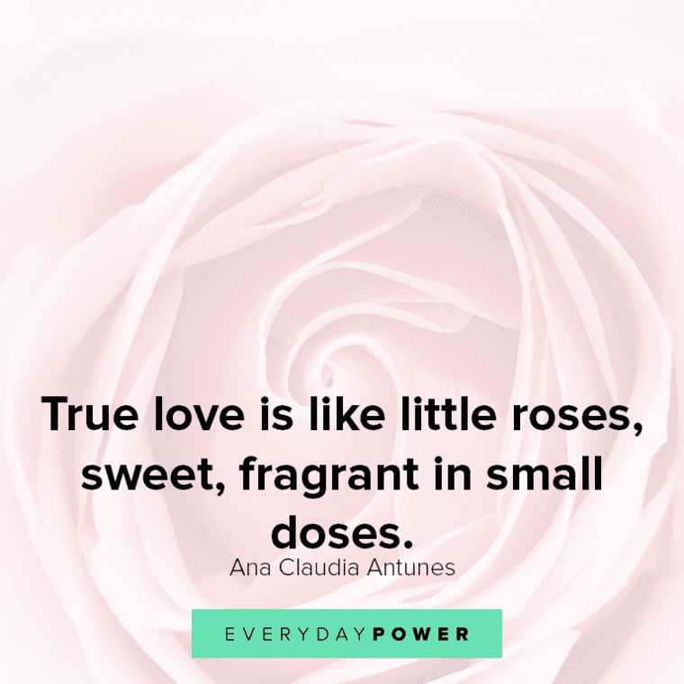 Quotes About Roses And Love True Love Is Like Little Roses, Sweet, Fragrant In Small Doses