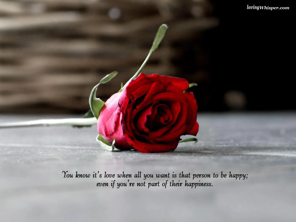 Quotes About Roses And Love You Know It's Love When All You Want Is That