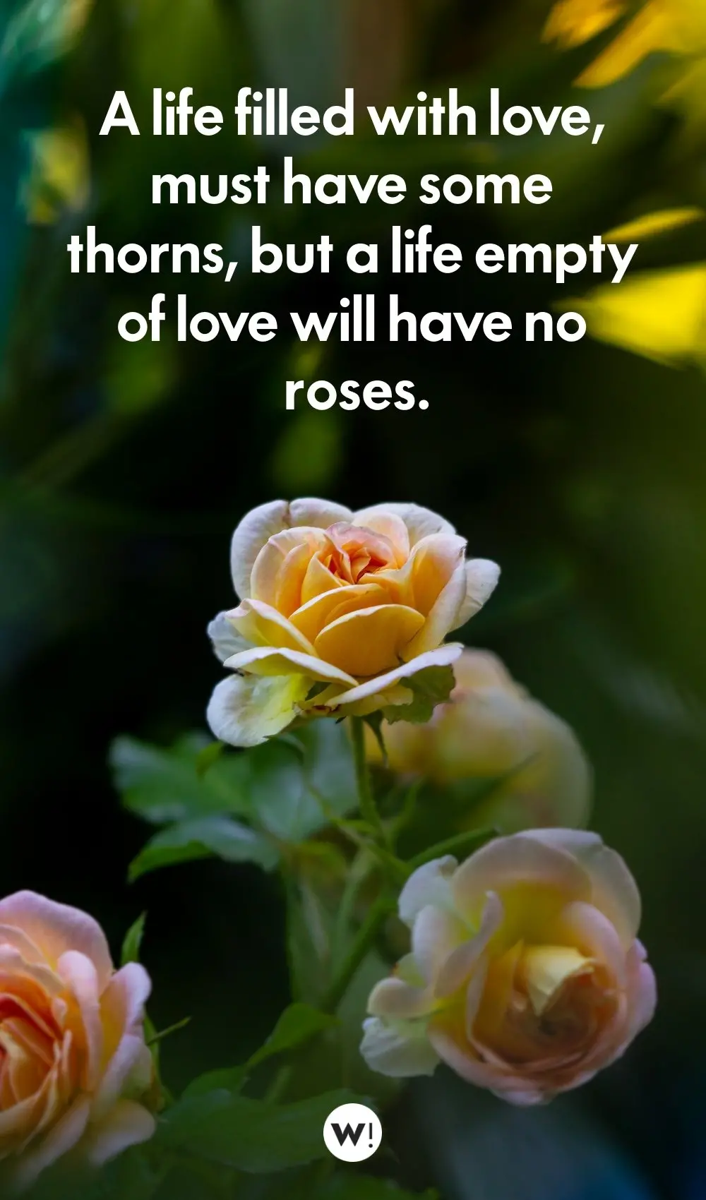 Quotes About Roses In Life A Life Filled With Love, Must Have Some Thorns