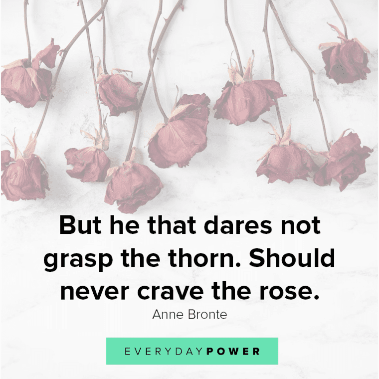 Quotes About Roses In Life But He That Dares Not Grasp The Thorn.