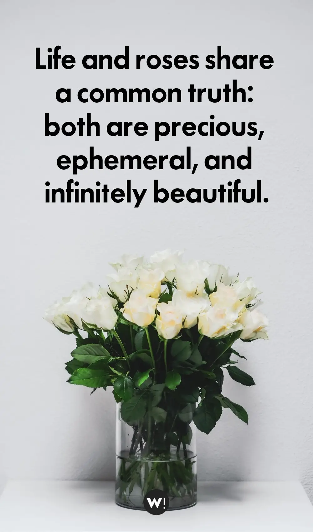 Quotes About Roses In Life Life And Roses Share A Common Truth