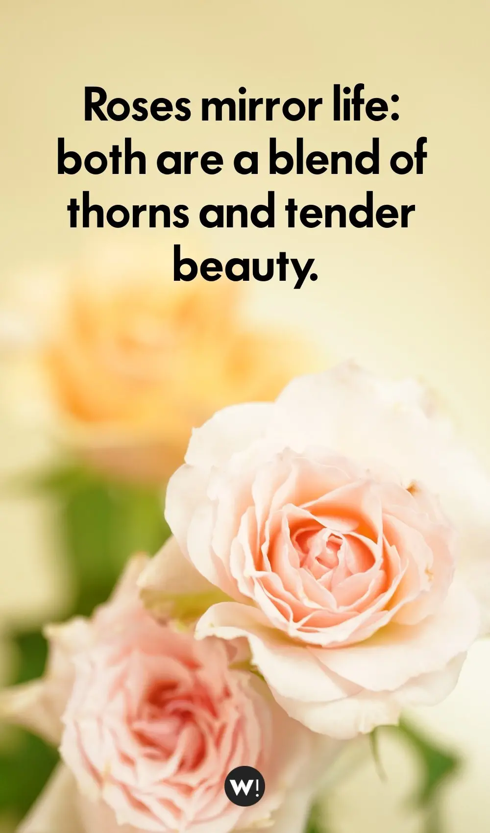 Quotes About Roses In Life Roses Mirror Life Both Are A Blend Of Thorns And Tender Beauty