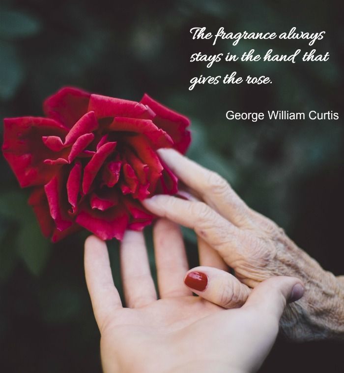Quotes About Roses In Life The Fragrance Always Stays In The Hand That Gives The Rose