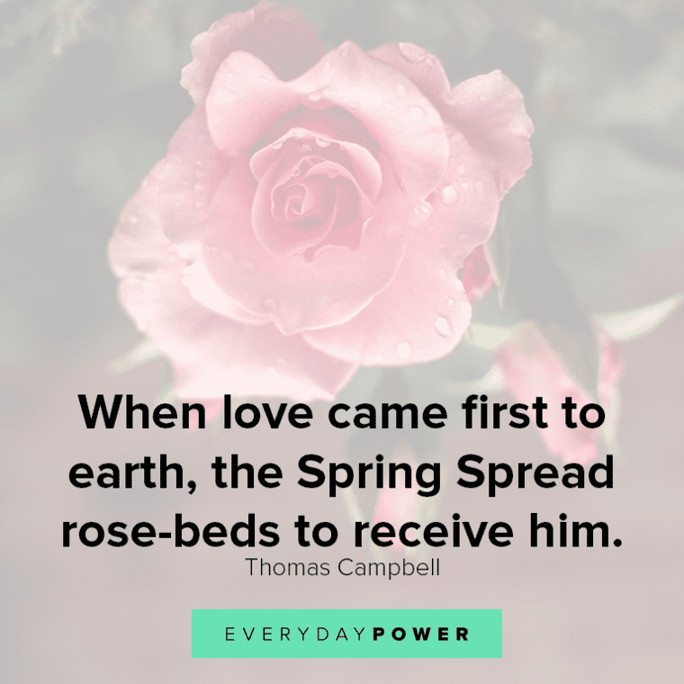 Quotes About Roses In Life When Love Came First To Earth