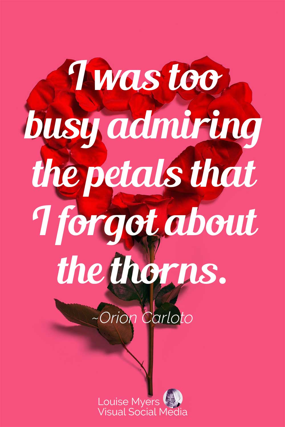 Red Rose Quotes I Was Too Busy Admiring The