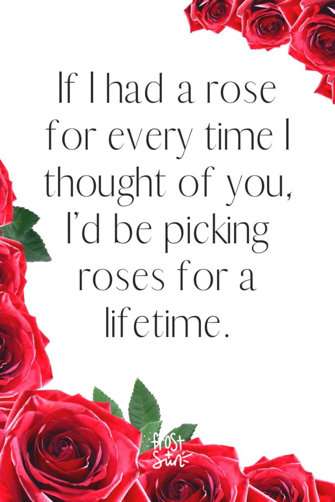 Red Rose Quotes If I Had A Rose For Every Time