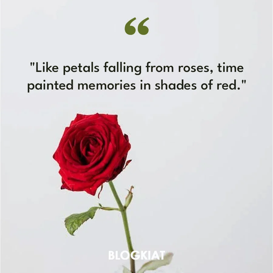 Red Rose Quotes Like Petals Falling From Roses Time