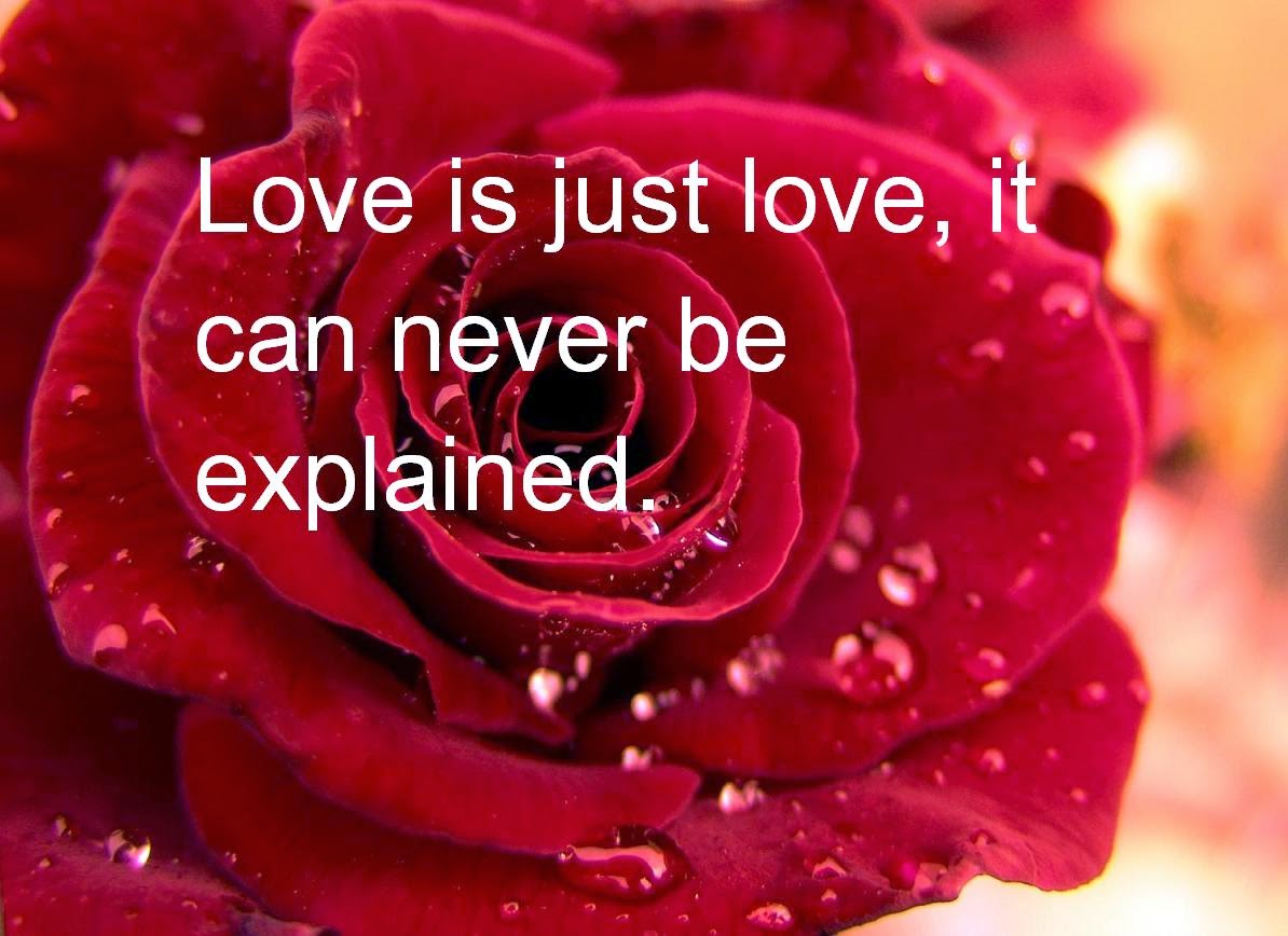 Red Rose Quotes Love Is Just Love, It