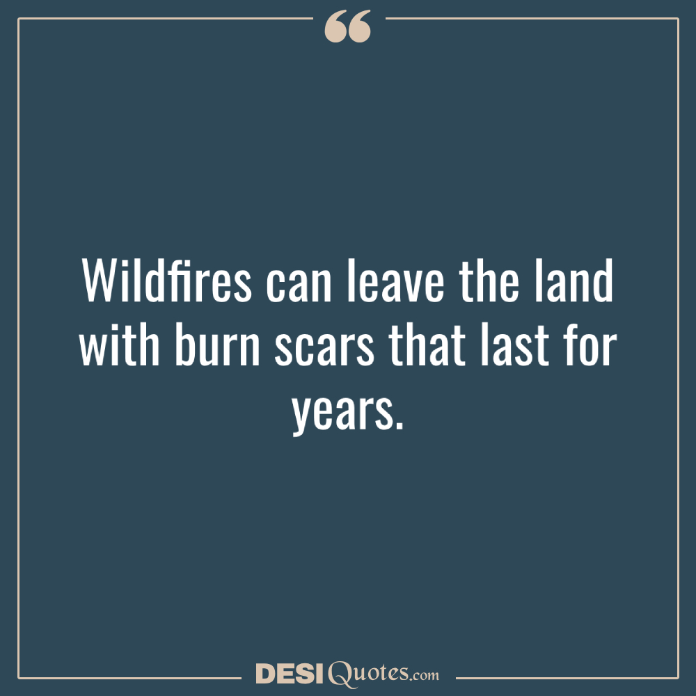 Wildfires Can Leave The Land With Burn