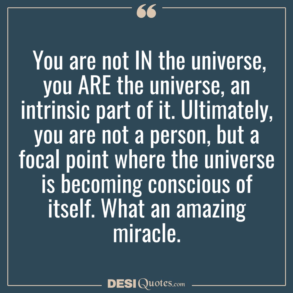 You Are Not In The Universe, You Are The Universe